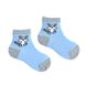 Шкарпетки дитячі "Єнотик" з індійської бавовни, світло блакитні