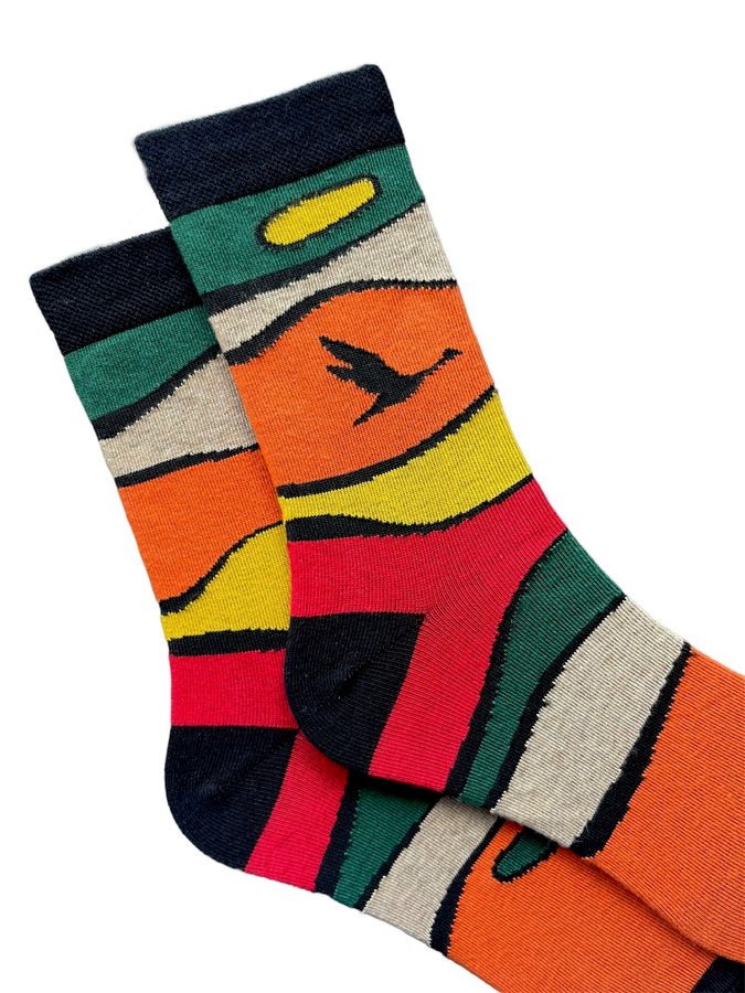 Шкарпетки чоловічі Осінь, з індійської бавовни